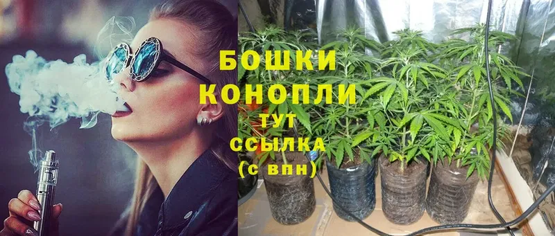 кракен зеркало  магазин    Лиски  Канабис White Widow 